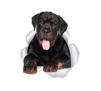 Winston & Bear 3D Friendly Rottweiler Stickers - 2 Pack - Rottweiler Wall Decals - Dog Lover Gifts - Dog Stickers for Bedroom - Fridge - Toilet - Car - Retail Packaged