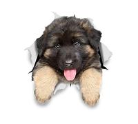 Winston & Bear 3D German Shepherd Dog Stickers - 2 Pack - Realistic Vinyl Wall Decals - Indoor/Outdoor, Fridge, Toilet & Car