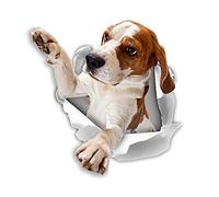 Winston & Bear 3D Realistic Multicolor Beagle Stickers - 2 Pack - Wall, Fridge, Toilet & More
