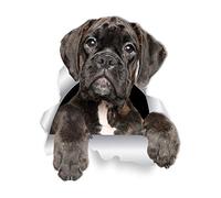 Winston & Bear Adorable Boxer Dog Wall Decals - 2 Pack - Boxer Dog 3D Sticker Decals for Walls, Cars, Toilet and More - Retail Packaged Boxer Dog Gifts
