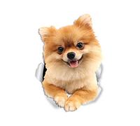Winston & Bear Cute Pomeranian Dog Wall Decals - 2 Pack - German Spitz Dog Toilet Sticker - 3D Dog Car Window and Bumper Sticker - Retail Packaged Pomeranian Lover Gifts