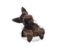 Winston & Bear Cute Schnauzer Dog Wall Decals - 2 Pack - Schnauzer Dog Toilet Sticker - 3D Dog Car Window and Bumper Sticker - Retail Packaged Schnauzer Lover Gifts
