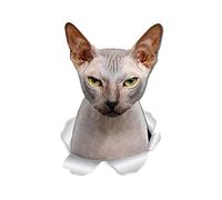 Winston & Bear Grumpy Sphynx Cat Wall Decals - 2 Pack - Sphynx Cat Toilet Sticker - 3D Cat Car Window and Bumper Sticker - Retail Packaged Sphynx Cat Gifts