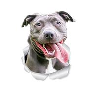 Winston & Bear Happy Pit Bull Dog Wall Decals - 2 Pack - Bully 3D Sticker Decals for Walls, Cars, Toilet and More - Retail Packaged American Bully Gifts