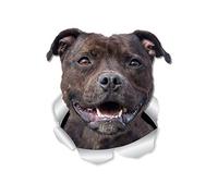 Winston & Bear Happy Staffie Dog Wall Decals - 2 Pack - American Staffordshire Terrier 3D Sticker Decals for Walls, Cars, Toilet and More - Retail Packaged Staffie Gifts