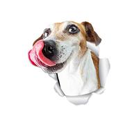 Winston & Bear Hungry Jack Russell Dog Wall Decals - 2 Pack - Jack Russell 3D Sticker Decals for Walls, Cars, Toilet and More - Retail Packaged Jack Russell Gifts