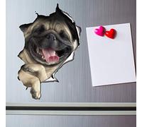 Winston & Bear Laughing Pug Wall Decals - 2 Pack - 3D Dog Stickers for Bedroom, Fridge, Toilet and Car - Retail Packaged Pug Gift