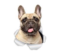 Winston & Bear Loveable French Bulldog Wall Decals - 2 Pack - Frenchie Toilet Sticker - 3D Car Window and Bumper Sticker - Retail Packaged French Bulldog Gifts
