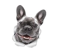 Winston & Bear Smiling Frenchie Dog Wall Decals - 2 Pack - French Bulldog 3D Sticker Decals for Walls, Cars, Toilet and More - Retail Packaged French Bulldog Gifts