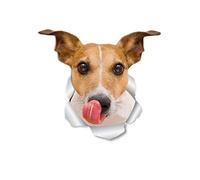 Winston & Bear Thirsty Jack RussellDog Wall Decals - 2 Pack - Jack Dog Toilet Sticker - 3D Dog Car Window and Bumper Sticker - Retail Packaged Jack Russell Lover Gifts