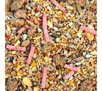 Winston Wilds Robin & Songbird Wild Seed Mix for Garden Birds - Wild Bird Food - Size: 12.5kg
