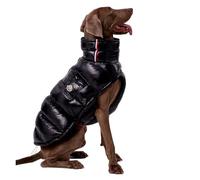 Winte Warm dog clothes Premium Winter Windproof Thickened Jacket for Large Dogs,French Bulldog & Chihuahua Dog Clothes(Black,XXL)