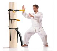 WINTECY Wing Chun Dummy for Martial Arts Training - Wall Mount & Portable Options - Interchangeable Spring Arms for Martial Arts, Boxing, and Karate Practice (for Hard Objects)