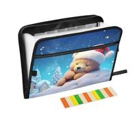 Winter Bear with Christmas Expanding File Folder with Sticky Labels, 13 Pockets Accordion File Folder Document Organizer with Zipper Closure