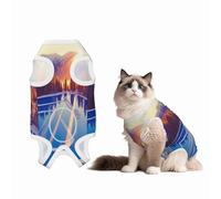 Winter Beauty Recovery Suit for Dogs Cats After Surgery,Pet Recovery Shirt, Dog Onesies Pet Surgery Recovery Suit