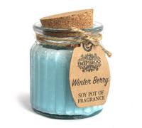 Winter Berry Soy Pot of Fragrance Candles - (Set of 2) KDMD Teal One Size