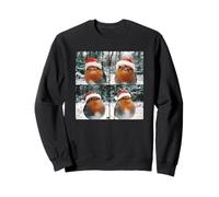 Winter Bird Snow Christmas Robin Redbreast Sweatshirt