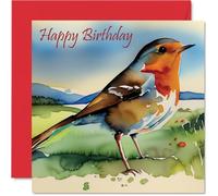 Winter Birthday Cards for Women Men - Robin - Happy Birthday Card for Mum Dad Brother Sister Son Daughter Nan Grandad, 145mm Bday Greeting Cards