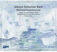 Winter - Christmas Oratorio Bwv 248