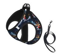 Winter Christmas Snow Night Railway Train Print Reflective Pet Leash Vest For Small Dogs & Cats, Adjustable Outdoor Walking Hiking Vest
