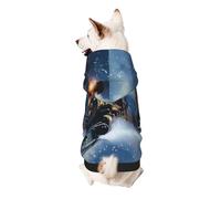 Winter Christmas Snow Night Railway Train Printed Dog Hoodie Soft Dog Sweatshirt Cute Cat Dog Clothes for Small Dogs Kitten Puppy, 2XL