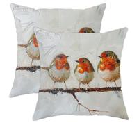 Winter Decorative Throw Pillow Covers Set of 2, White and Red Robin Birds Farmhouse Style, Outdoor Cushion Cases for Seasonal Home Sofa Bed Couch Decor 16x16 Inch