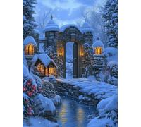 Winter Diamond Art Kits Adults, 5D Snow Scene Diamond Painting, DIY Full Drill Crystal Art Embroidery Kit for Beginners, Gem Arts and Crafts for Adults for Home Decor, Hobbies for Women 35x50cm 0Y-20
