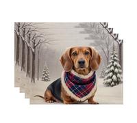 Winter Dog Placemats, Cute Dachshund Pattern Table Mats for Dining, Holiday Non-Slip Washable Indoor Outdoor Kitchen Party Decorative Placemat Set of 4