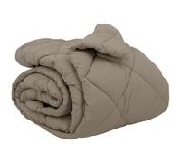 vidaXL Winter Duvet Light Grey 200 x 220 cm Microfiber