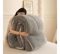 Winter Duvet - Thick Lamb Wool Quilt Extra Thick and Fast Warm Cashmere Fabric for Double Bed In Winter - Suitable for Autumn & Winter - Thick Warm Bed Blankets,G,150x200cm(2kg)