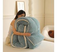 Winter Duvet - Thick Lamb Wool Quilt Extra Thick and Fast Warm Cashmere Fabric for Double Bed In Winter - Suitable for Autumn & Winter - Thick Warm Bed Blankets