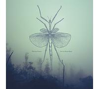 Winter Family - South from Here [VINYL]