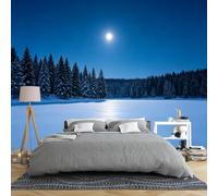 Winter Forest Landscape Wallpaper Mural for Bedroom 150 × 105 Cm 3D Panoramic Snowy Pine Tree Lake Photo Wallpaper Non Woven Nature Scenic Wall Mural for Living Room Christmas Decor 150 × 105 Cm (