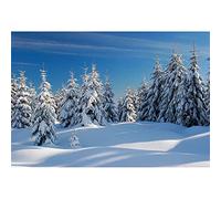 Winter Forest Snow Scene Backdrop 10x8ft Pine Forest Woodland Snowy Scenery Photography Background 3D Winter Season Holiday Photography Backdrop New Year Decor Banner