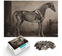 Winter Gift: Vintage Horse Anatomy 1000 Piece Jigsaw, 1000pcs (40x28cm)