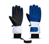 Winter Gloves Waterproof Windproof Touch Screen Anti-Slip Warm Cycling Ski Gloves for Men Women Lined Klein Blue XL