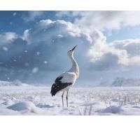 Winter Grasslands 4000 Piece Jigsaw Puzzles for Adults, Colourful, Challenging & Brainteasing Adult puzzles 4000 Pieces Cranes, Fun jigsaws for The Whole Family 56x34 inch