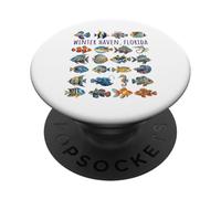 Winter Haven Florida Colorful Fish Design PopSockets Adhesive PopGrip