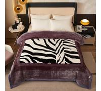 Winter Heavy Plush Blanket,8LB Korean Mink Blanket King Size 79x91inch,Soft Warm Fleece Throw,2 Ply A&B Cartoon Floral Printed Raschel Blanket