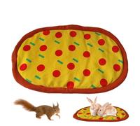 Winter Hedgehog Mat,Hamster House Pizza Mat - Cute and Fun Indoor Pet Mat for Ferret, Chinchilla, Squirrel, Hamster, Hedgehog