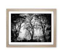 Winter Landscape Three Beautiful Trees Modern CB Framed Print | A4 Oak Framed Wall Art | Ready to Hang | Modern Floral Picture | Living Room Bedroom Lounge Office