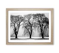 Winter Landscape Three Beautiful Trees Modern Framed Print | A3 Oak Framed Wall Art | Ready to Hang | Modern Floral Picture | Living Room Bedroom Lounge Office