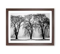 Winter Landscape Three Beautiful Trees Modern Framed Print | A3 Walnut Framed Wall Art | Ready to Hang | Modern Floral Picture | Living Room Bedroom Lounge Office
