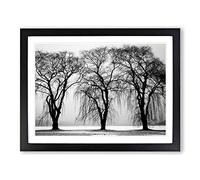 Winter Landscape Three Beautiful Trees Modern Framed Print | A4 Black Framed Wall Art | Ready to Hang | Modern Floral Picture | Living Room Bedroom Lounge Office