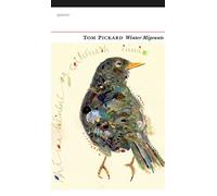 Winter Migrants : A Bird's Journey Over the Fells and a Coastal Meditation on Winter