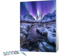 Winter Paint by Numbers for Adults, Aurora Painting by Numbers Kits on Canvas, DIY Acrylic Oil Painting Crafts Kit for Adults Beginners, Home Wall Decor Gifts, 60x90 with Brushes (Frameless) 0j-397