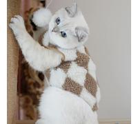 Winter Pet Dog Clothes Cute Bear Warm Dogs Coats Sweatshirt Puppy for Small Medium Dogs Clothing Jacket French Bulldog Chihuahua