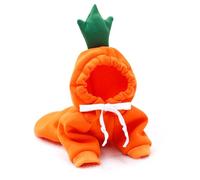 Winter Pet Hoodie Sweater Sports Cat Clothes for Cats Kitten Dog Pullovers Sweatshirt Fruit Animal Cosplay Pets Clothing Costume