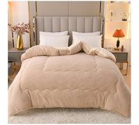 Winter Quilt, Luxury Double-Sided Velvet Comforter, Fluffy Velvet Duvet, Soft Plush Fleece Blanket For Home Bedroom, Warm Lamb Quilt Winter Blanket Heavy E, 150x200cm/3.5kg
