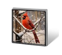 Winter Red Bird Vintage Unisex Brooches & Pins Square Lightweight Lapel Badge Jewelry for Clothing Shawl Hat